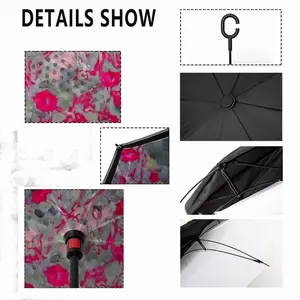 Dianthus Reverse Umbrella