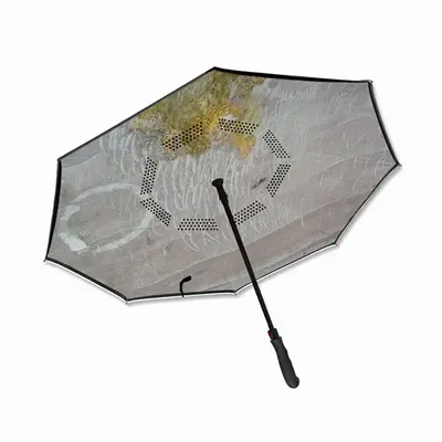 Rainy Day Reverse Umbrella