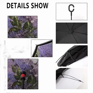 Lilac Reverse Umbrella