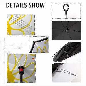 Spring Reverse Umbrella