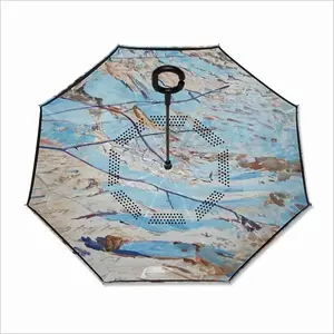 Stream Reverse Umbrella