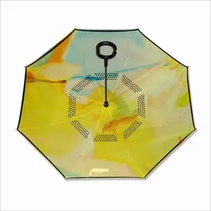 Enter Reverse Umbrella