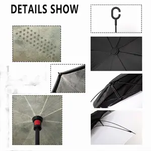 Promised Land Reverse Umbrella