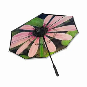 Pink Encenecia Reverse Umbrella