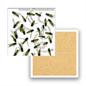 Summa Summarum Ceramic Coaster (Square)