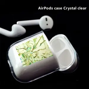 Urban Airpods 1 Case