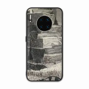 Natural History HUAWEI Mate30 Phone Case