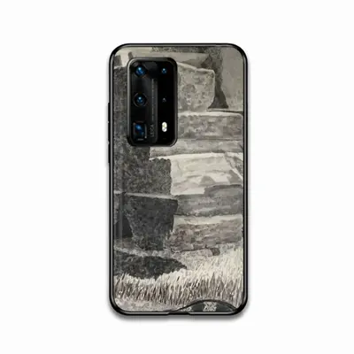 Natural History HUAWEI P40 Phone Case