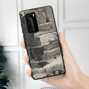 Natural History HUAWEI P40 Phone Case