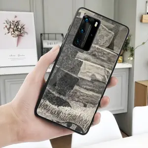 Natural History HUAWEI P40 Phone Case