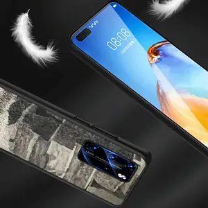 Natural History HUAWEI P40 Phone Case