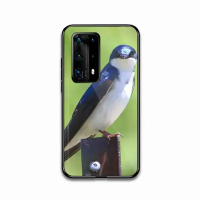 I See You Swallow HUAWEI P40 Phone Case