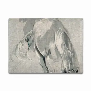 Grey Horse Double Insulated Placemats