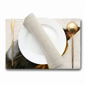 Minkes Space Double Insulated Placemats