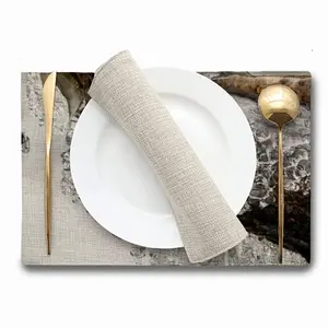 Iced Water 40 Double Insulated Placemats