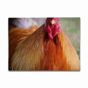 Rooster Stare Down Double Insulated Placemats