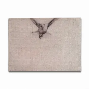 Seagull In A New World Double Insulated Placemats