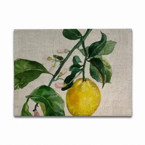 Lemon Branch Double Insulated Placemats