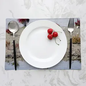 Inertia Viii Double Insulated Placemats