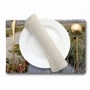 Inertia I Double Insulated Placemats