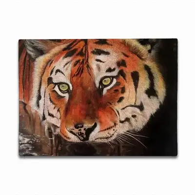 Eyes Of The Tiger Double Insulated Placemats