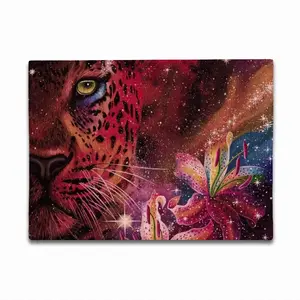 Nature Of The Universe Double Insulated Placemats