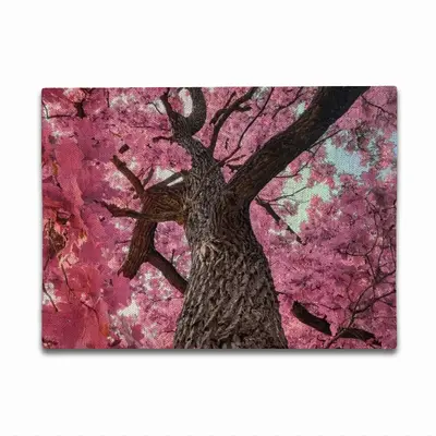 Magic Tree #01 Double Insulated Placemats