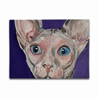 Bald Cat Double Insulated Placemats