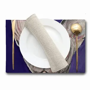 Bald Cat Double Insulated Placemats