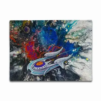 Space Flight Double Insulated Placemats