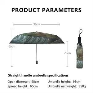 2020 Manual Umbrella