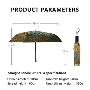 Network Manual Umbrella