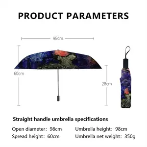 Receptor Manual Umbrella