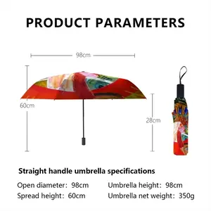 Relevation Manual Umbrella