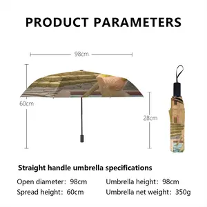 Circes World Manual Umbrella