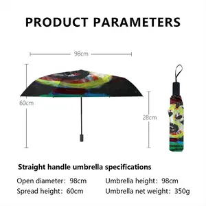 Sonic Youth Mickey Manual Umbrella