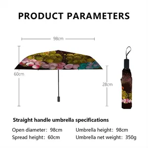 Look After Your Cells Manual Umbrella