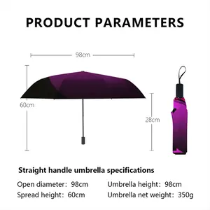 Geo Metro 2015 1 Manual Umbrella