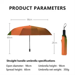 Boxy Back Betty Manual Umbrella