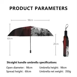 Migrating Spirit 2014 Manual Umbrella