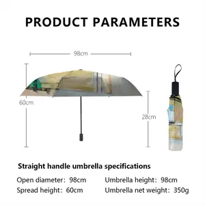 Minnesota Manual Umbrella