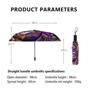 Buddha Blaze Manual Umbrella