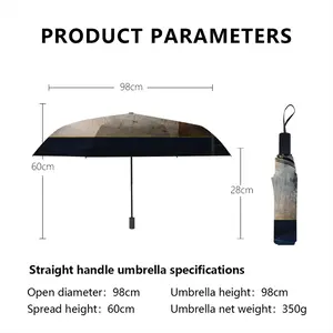 Grid Light Manual Umbrella