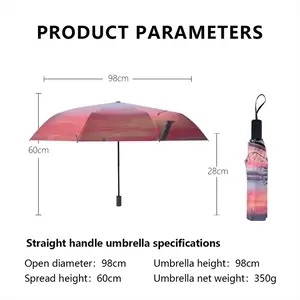 #3 Views Of The Lake Manual Umbrella