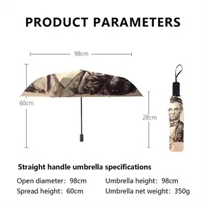 President Abraham Lincoln Manual Umbrella