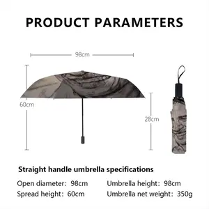 President Barack Obama Manual Umbrella