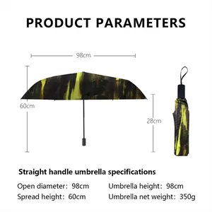 Paradox Manual Umbrella