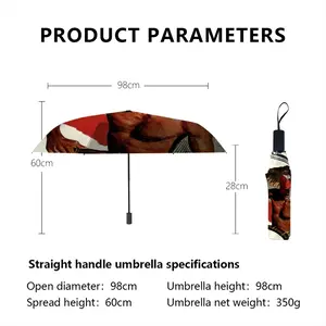 Beach Comber Manual Umbrella