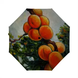 Apricots In The Garden Manual Umbrella