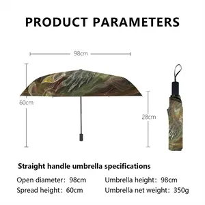 Apophysis 21 Manual Umbrella